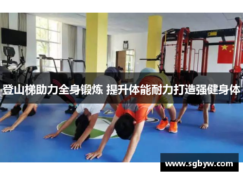 登山梯助力全身锻炼 提升体能耐力打造强健身体