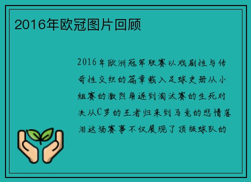 2016年欧冠图片回顾
