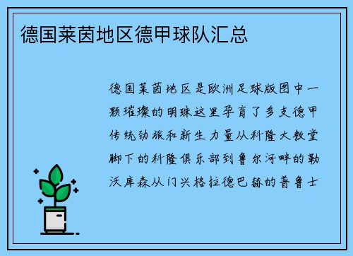 德国莱茵地区德甲球队汇总