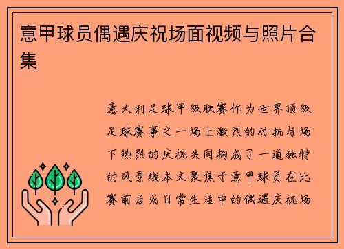 意甲球员偶遇庆祝场面视频与照片合集